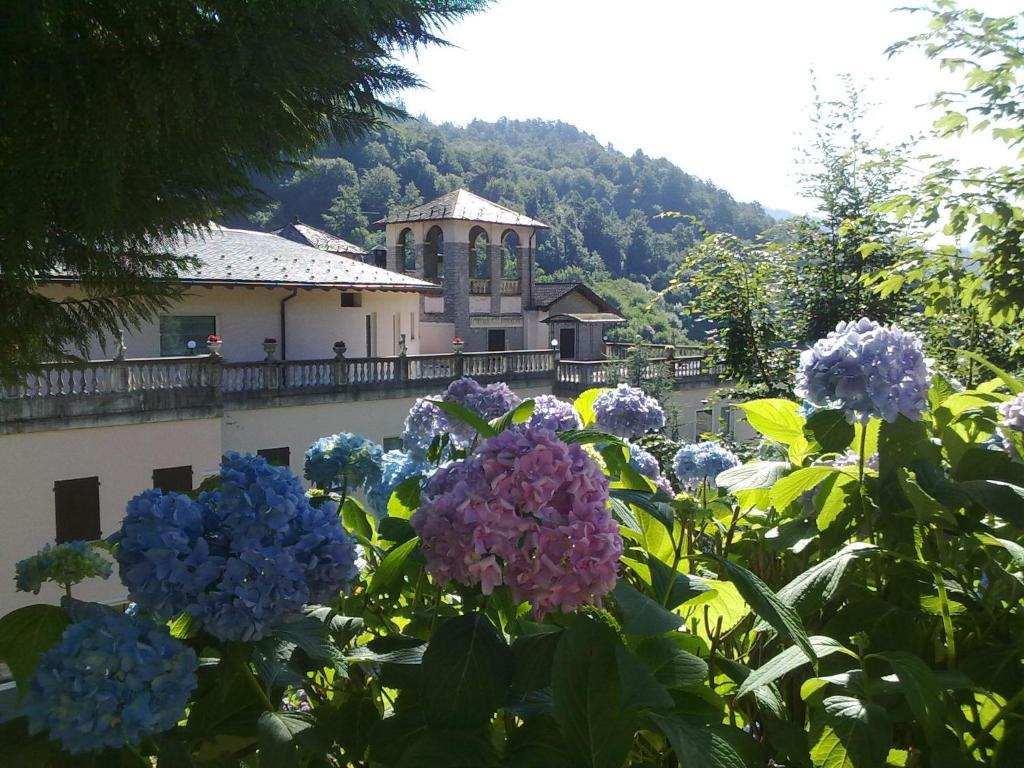 Hotel Villa Delle Ortensie Sant'Omobono Imagna Exteriér fotografie
